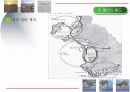 관광개발 - 인천 서해안 테마 구역 개발 14페이지