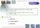 관광개발 - 인천 서해안 테마 구역 개발 18페이지