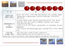 관광개발 - 인천 서해안 테마 구역 개발 27페이지