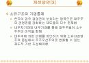 국내 재벌들의 기업지배 구조 15페이지