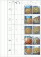 종류별 밀가루와 시판 밀가루의 글루텐 함량 측정 3페이지