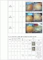 종류별 밀가루와 시판 밀가루의 글루텐 함량 측정 4페이지