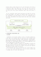 고위공무원단제도(SES)에 대해서  2페이지