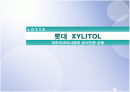 롯데  자일리톨 (XYLITOL) 마케팅 전략 1페이지