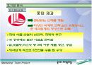 롯데  자일리톨 (XYLITOL) 마케팅 전략 4페이지