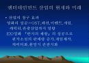 엔터테인먼트(Entertainment)산업, CJ 엔터테인먼트 분석  38페이지