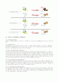 학습이론 중 고전적 조건화와 조작적 조건화에 대하여 비교 4페이지