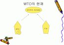 WTO [World Trade Organization, 세계무역기구] 17페이지