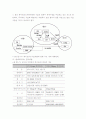 자동차 산업 유망 분야의 세계시장 및 국제 분업 전망, 국내 시장 - 하이브리드 자동차, 연료 전지 자동차, 지능형 자동차 14페이지