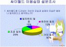 싸이월드로 표현되는 자아에 대한 사회심리학적 분석 16페이지