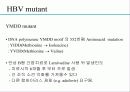 급성 바이러스성 간염 (acute viral hepatitis ) 41페이지