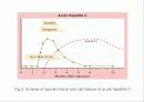 급성 바이러스성 간염 (acute viral hepatitis ) 46페이지