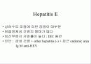 급성 바이러스성 간염 (acute viral hepatitis ) 49페이지