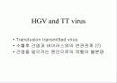 급성 바이러스성 간염 (acute viral hepatitis ) 50페이지