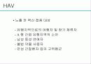 급성 바이러스성 간염 (acute viral hepatitis ) 61페이지