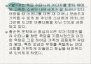 황순원의 대표작품, '별'과 '소나기' 연구  16페이지