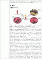 헤모글로빈 측정(Cyanmethemoglobin 방법) 5페이지