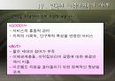 지방 분권화 시대의 지역사회복지 31페이지