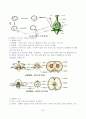 교과서의 내용 구성과 지도 방법 26페이지