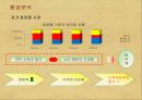 [소비자행동론]이니스프리 마케팅전략 제안서 (A+리포트) 12페이지