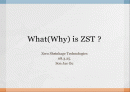 What(Why) is ZST? 1페이지