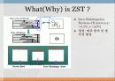 What(Why) is ZST? 4페이지