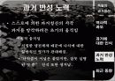 독일의 과거사 청산 -일본과 비교 26페이지