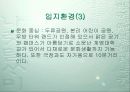 [개발사례]대구 달서구 재개발,재건축사업 조사(수지분석~분양가산정까지) 13페이지