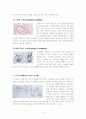 아동표현발달: 로웬펠드의 어린이미술 발달단계를 중심으로 4페이지