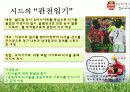 K리그 FC 서울 홍보 마케팅 전략  53페이지