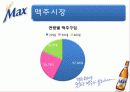 하이트 Max 마케팅 전략 5페이지