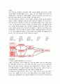 [보견교육A형] 노인의 가정 내 안전사고 예방 교육 8페이지