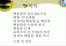 핵융합 에너지 [발표자료] 2페이지