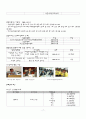 정치커뮤니케이션 - 선거캠페인 전략  17페이지