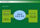 하이네켄(Heineken)의 해외진출현황과 한국시장진출전략 22페이지