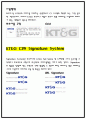 KT&G CI전략 5페이지