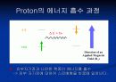 Nuclear Magnetic Resonance(NMR)의 원리 13페이지