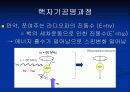 Nuclear Magnetic Resonance(NMR)의 원리 20페이지