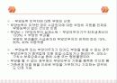 국민기초생활보장제도 11페이지