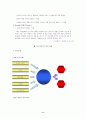 대학생 휴대폰 이용실태 및 만족요인 & 삼성 애니콜의 구매선택요인 및 재구매 현황연구  12페이지