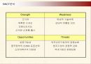 삼성전자 애니콜의 중국시장진출 마케팅전략 16페이지