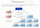 ERP(SAP)-SD모듈에 대한 상세정보 5페이지