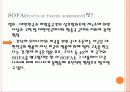 효순이 사망사건과 각종 미군에 의한 범죄  6페이지