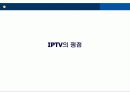 [e비즈니스] IPTV의 개요와 쟁점 및 향후전망 분석 18페이지