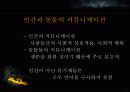 의사소통 장애아 교육에 대한 ppt 자료 5페이지