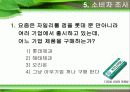 자일리톨 마케팅사례연구 18페이지