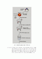 생명공학과 화학공학이 접목된 연구분야 조사 4페이지