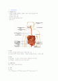 소화기계 구조와 기능 및 임상검사 1페이지