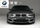 BMW의 소개 및 마케팅분석 1페이지