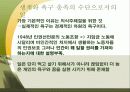 일과 삶 올바른 직업 선택과 윤리의식  5페이지